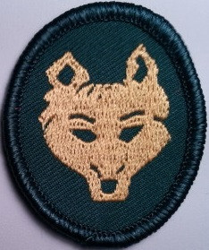 bpsatimberwolves